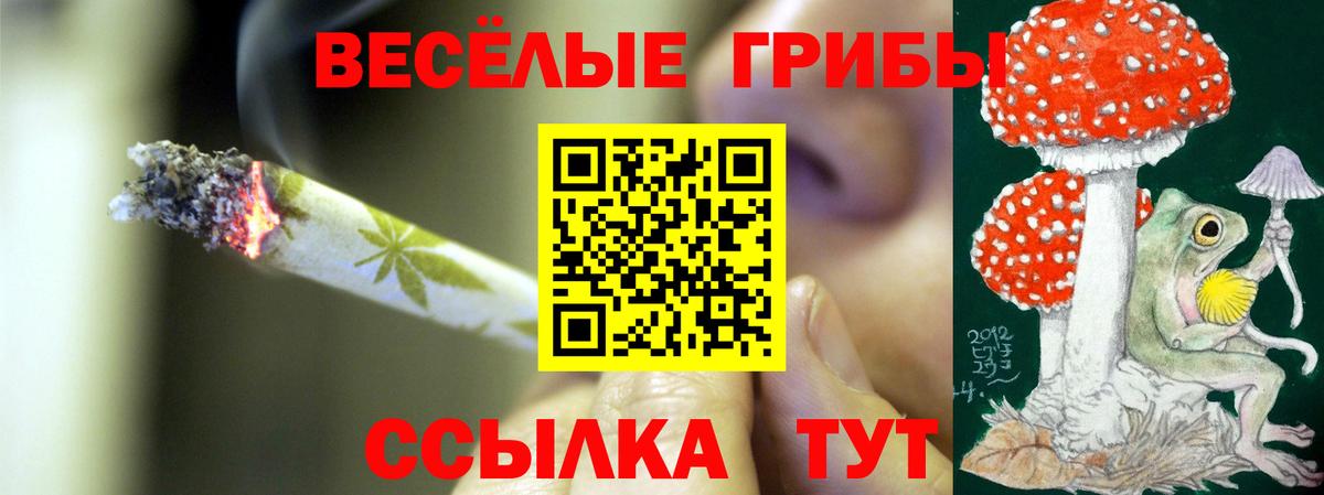 Галлюциногенные грибы мухоморы Саяногорск